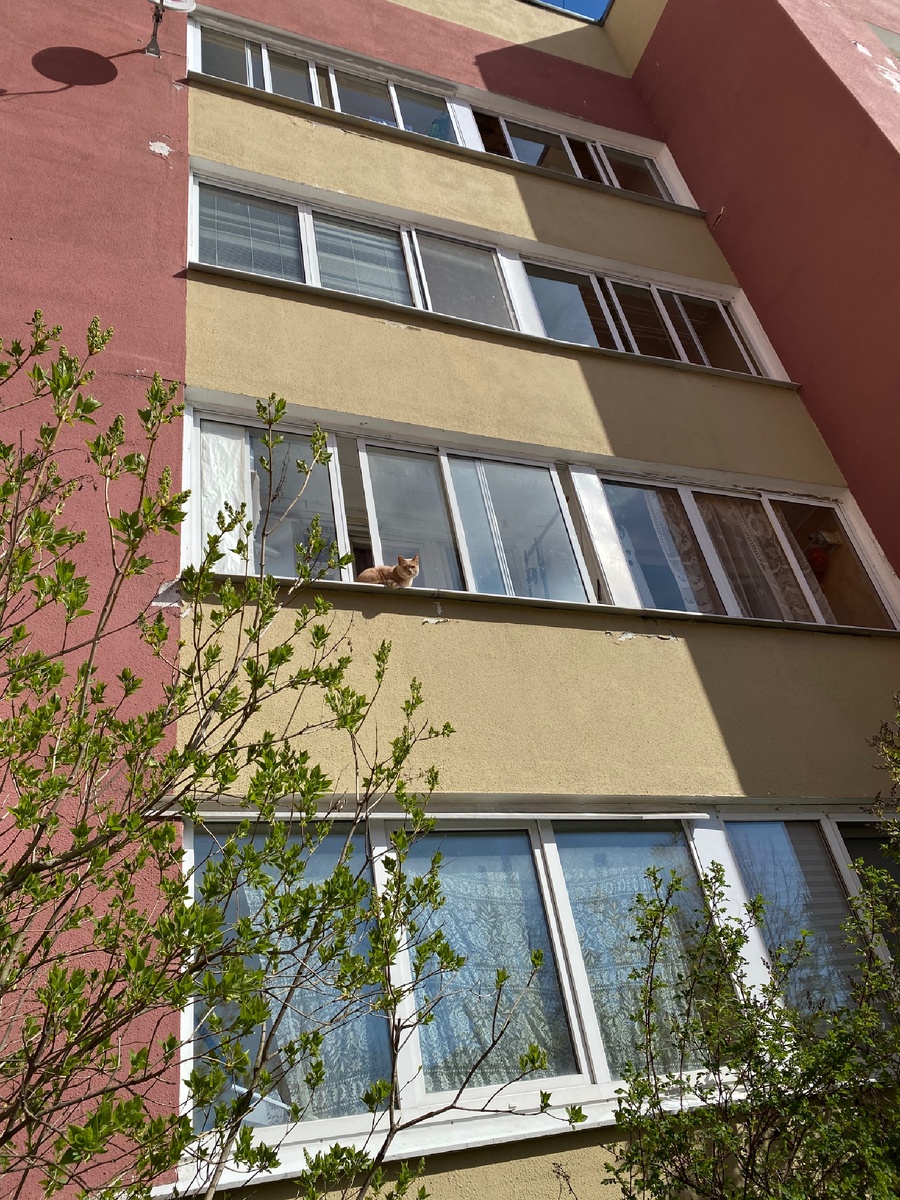 Из добрых побуждений, видимо...