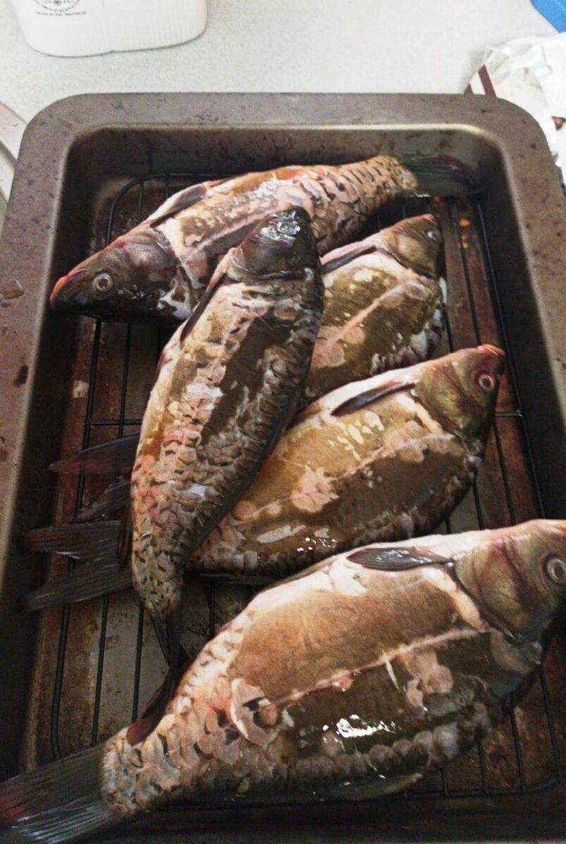 Из личного архива