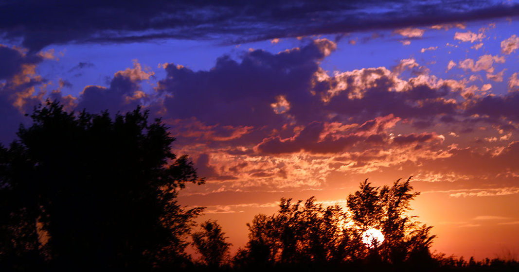 Яндекс. Картинки.