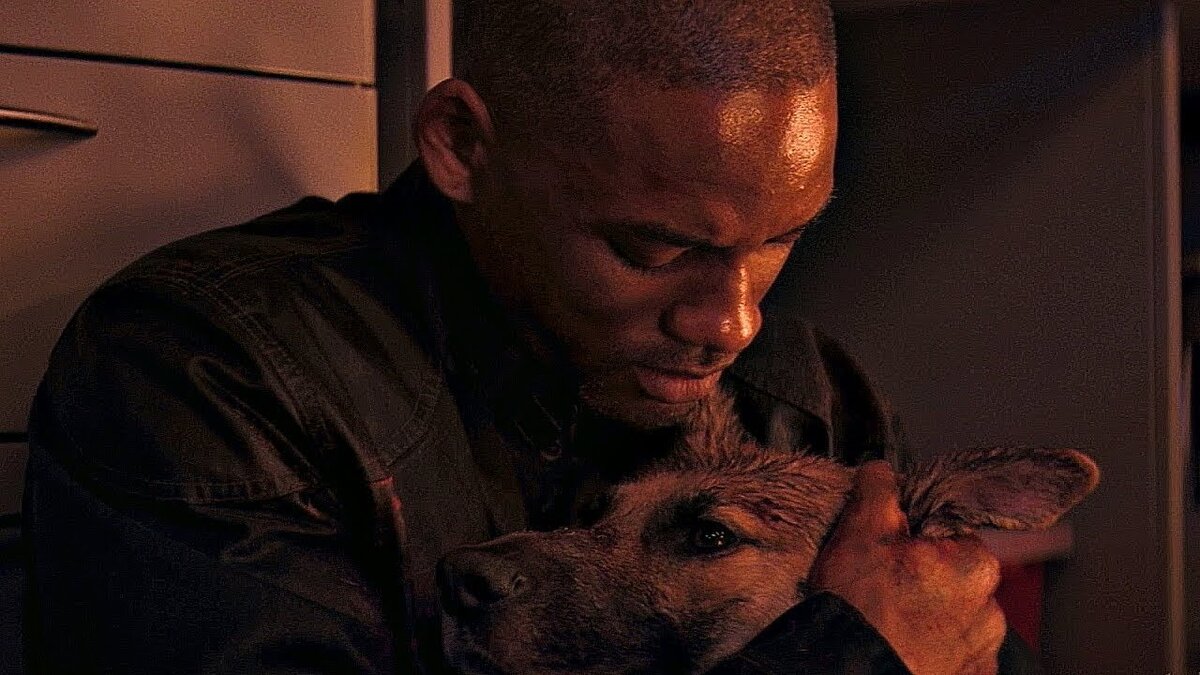 Кадр из фильма "Я - Легенда". Фото использовано в качестве иллюстрации. Источник: Яндекс Картинки