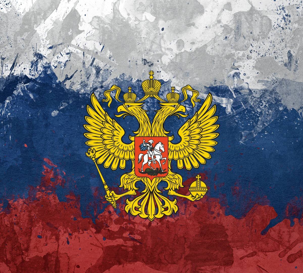 Фото из сети 