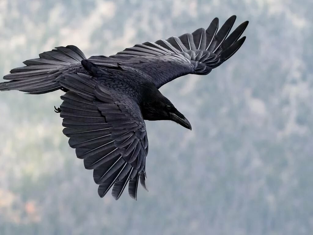 Источник: Яндекс картинки