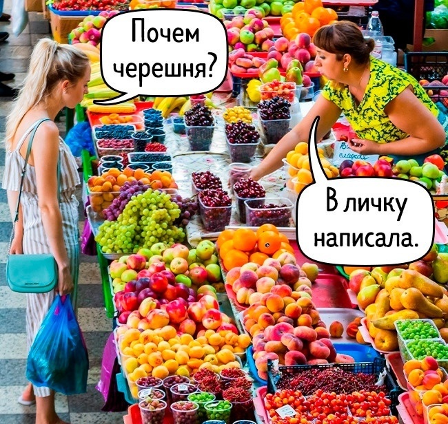 Яндекс картинки