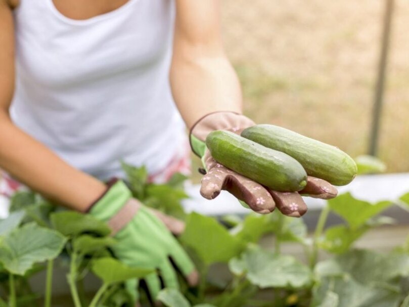 Фото: pinterest.at