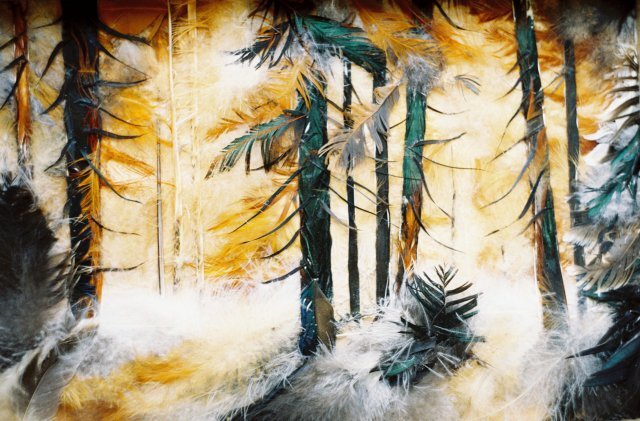 Наталья Басараб.