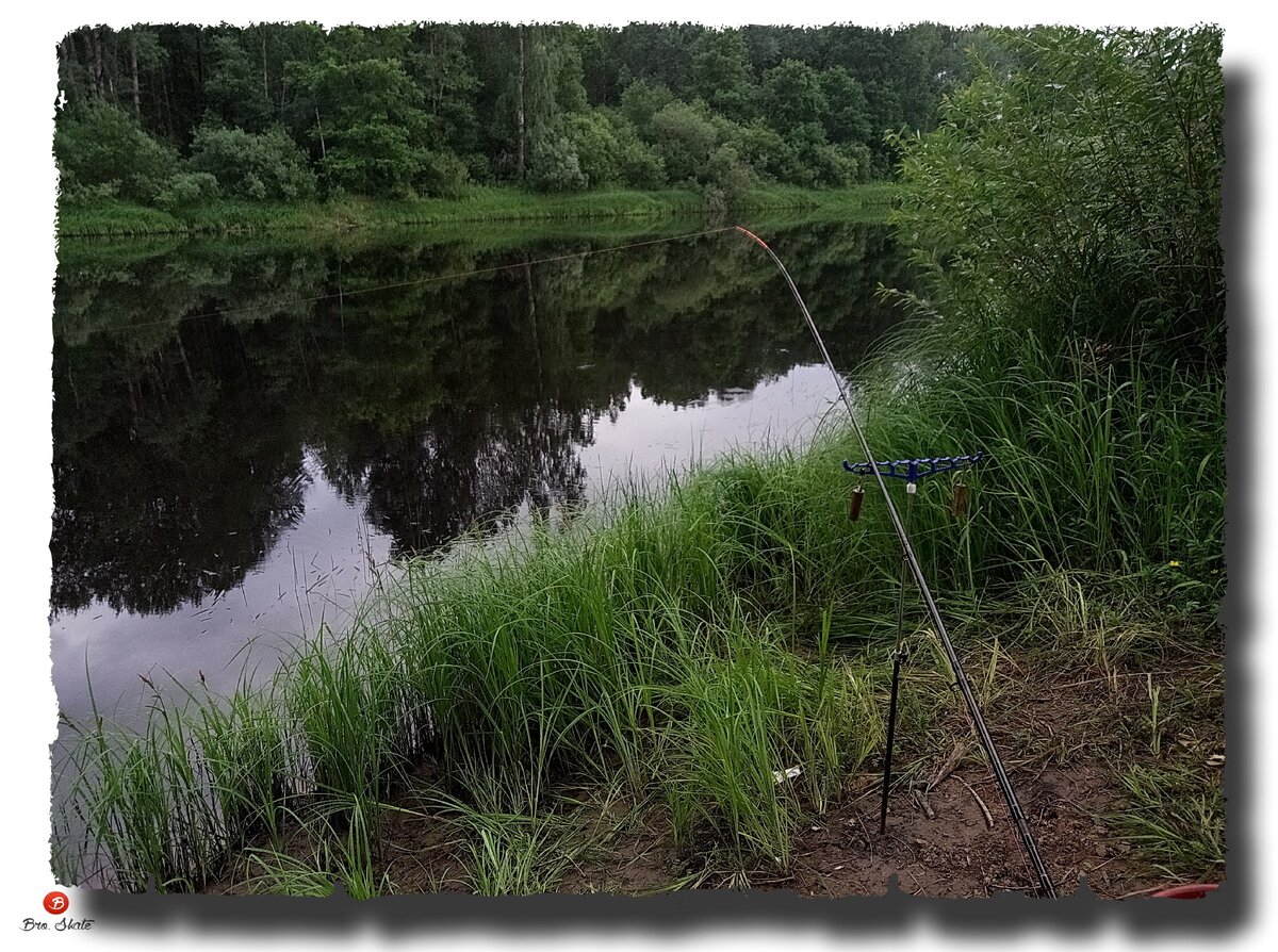 Авторское фото