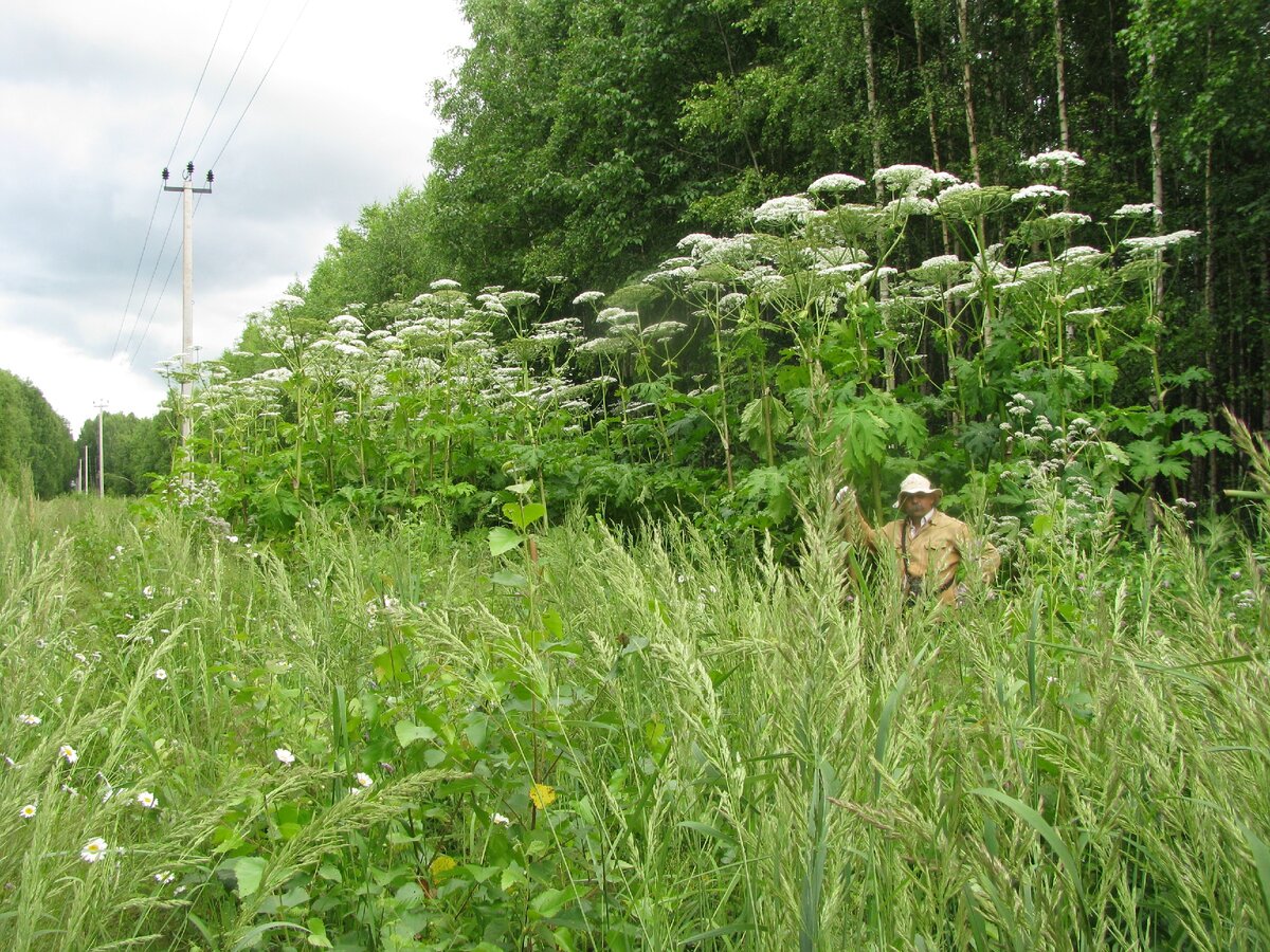 500м от деревенского пруда....