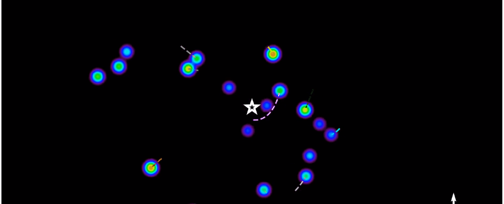 Орбита S2 (показана жёлтым цветом) вокруг СМЧД Sgr A* (показана в виде пятилучевой звезды). Credit by Keck/UCLA Galactic Center Group.