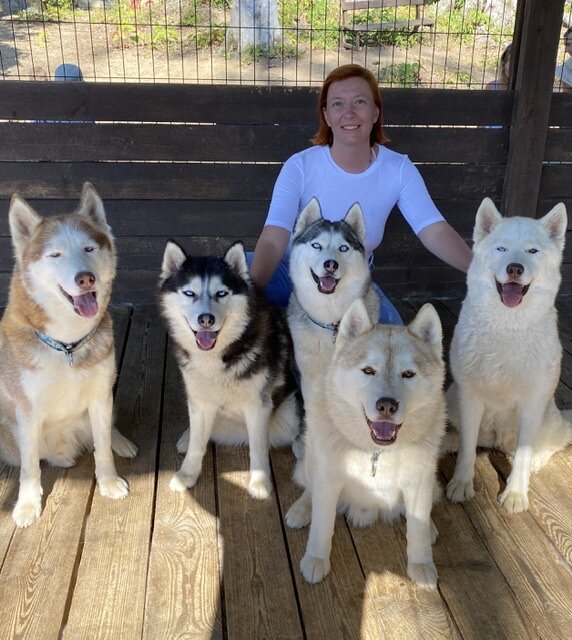 Собаки хаски на Красной поляне😍