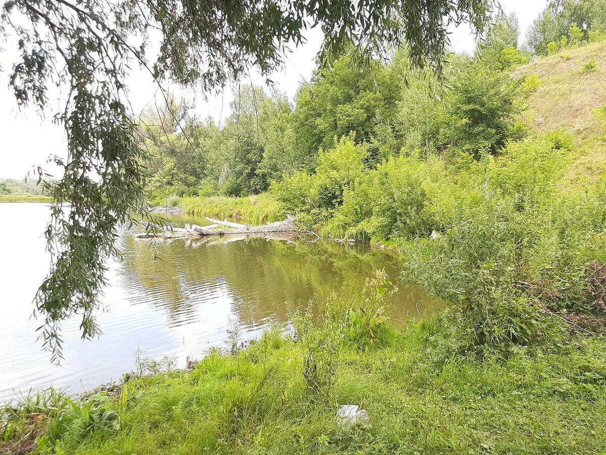 Озеро "Лебяжье" фото автора
