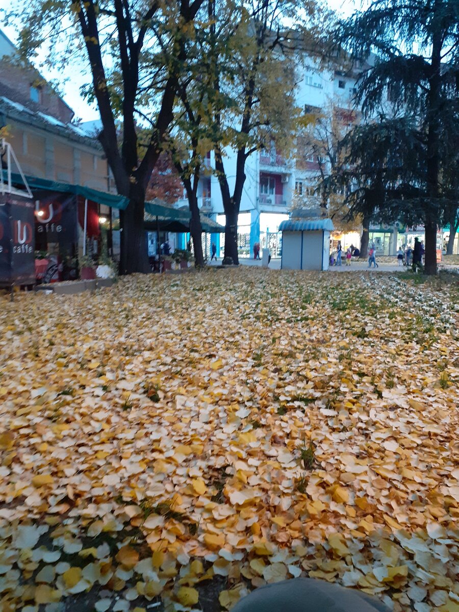 Личная фотография