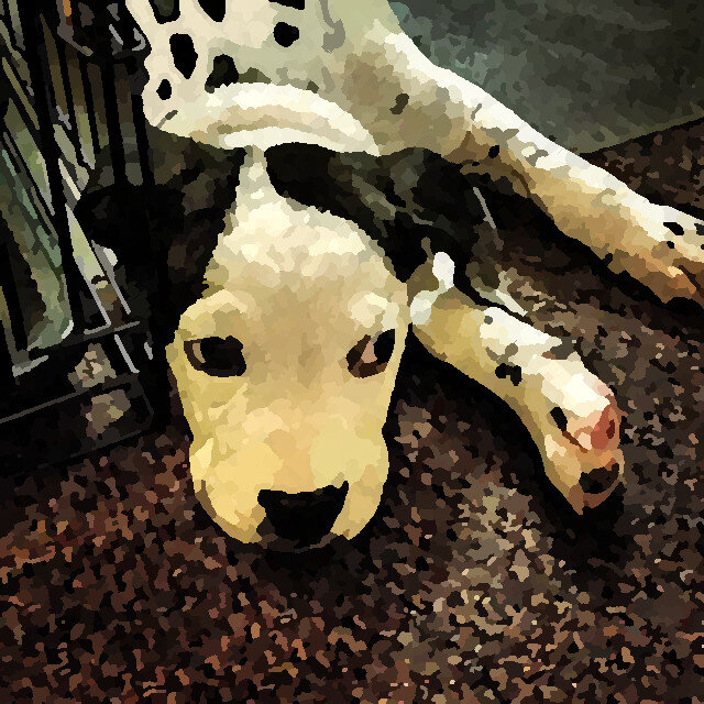 Изображение для иллюстрации из открытых источников