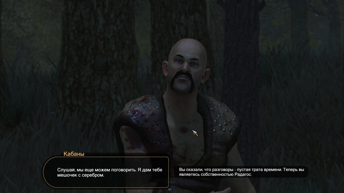 Скрин автора из игры Mount & Blade 2: Bannerlord