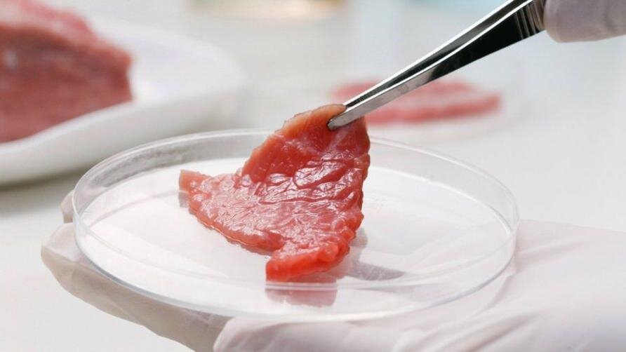 Фото: versiya.info