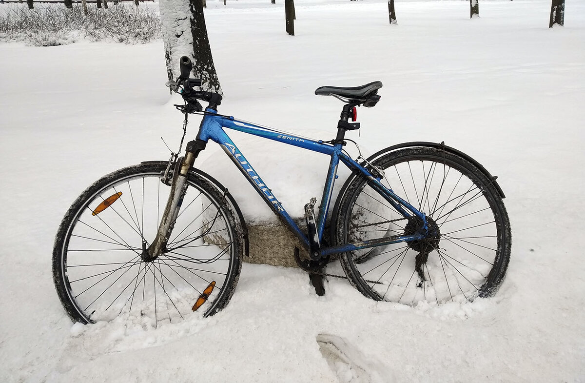 мой зимний друг. фото автора.