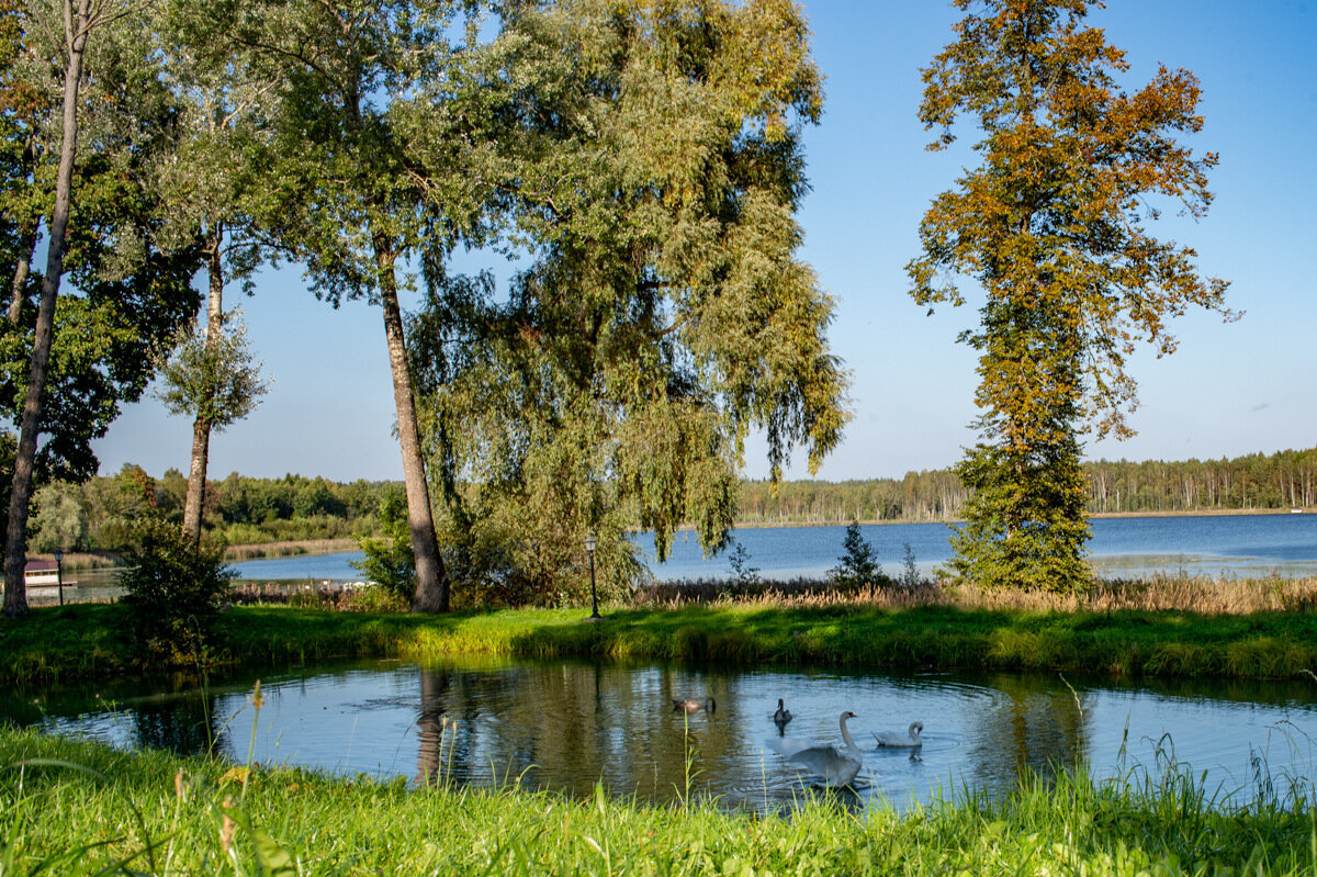 Озеро Алтун и пруд