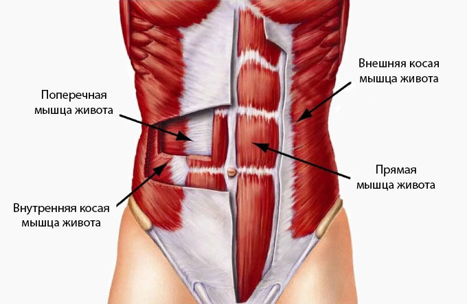 Как накачать пресс за месяц девушке: эффективные упражнения