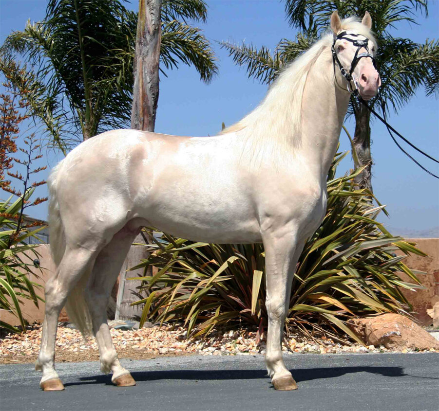 Характеристики