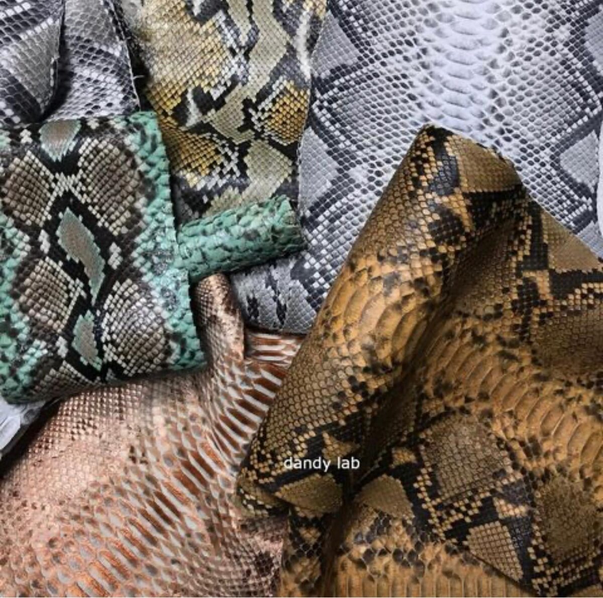 Кожа питона, обработанная в цвете.