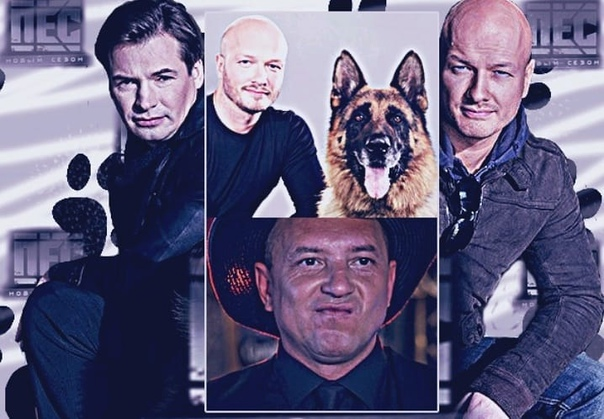 Фото взято из открытых источников.  Андрей Саминин, Никита Панфилов с Псом и Михаил  Жонин в сериале "ПЁС",