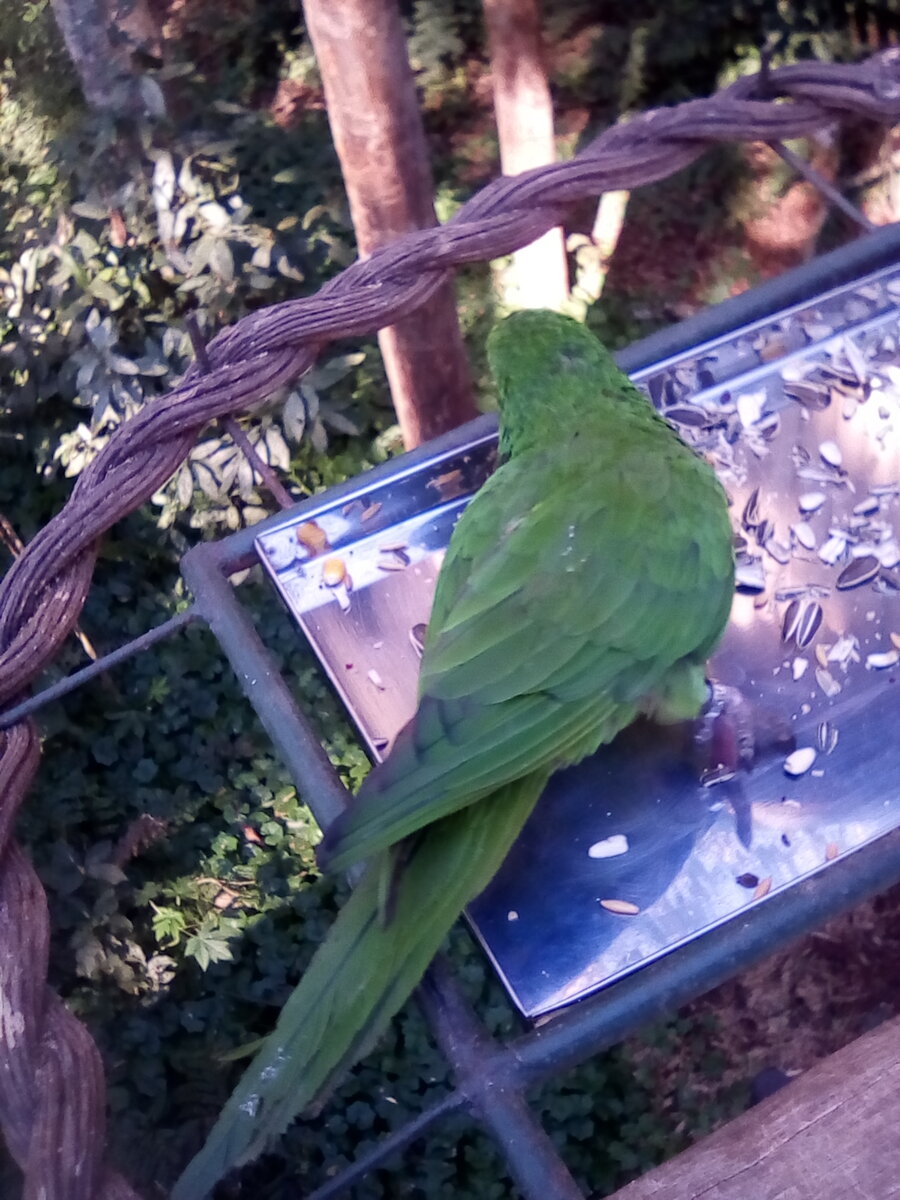 Фото автора. Бразилия