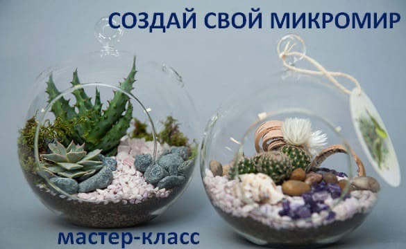 Мастер-класс