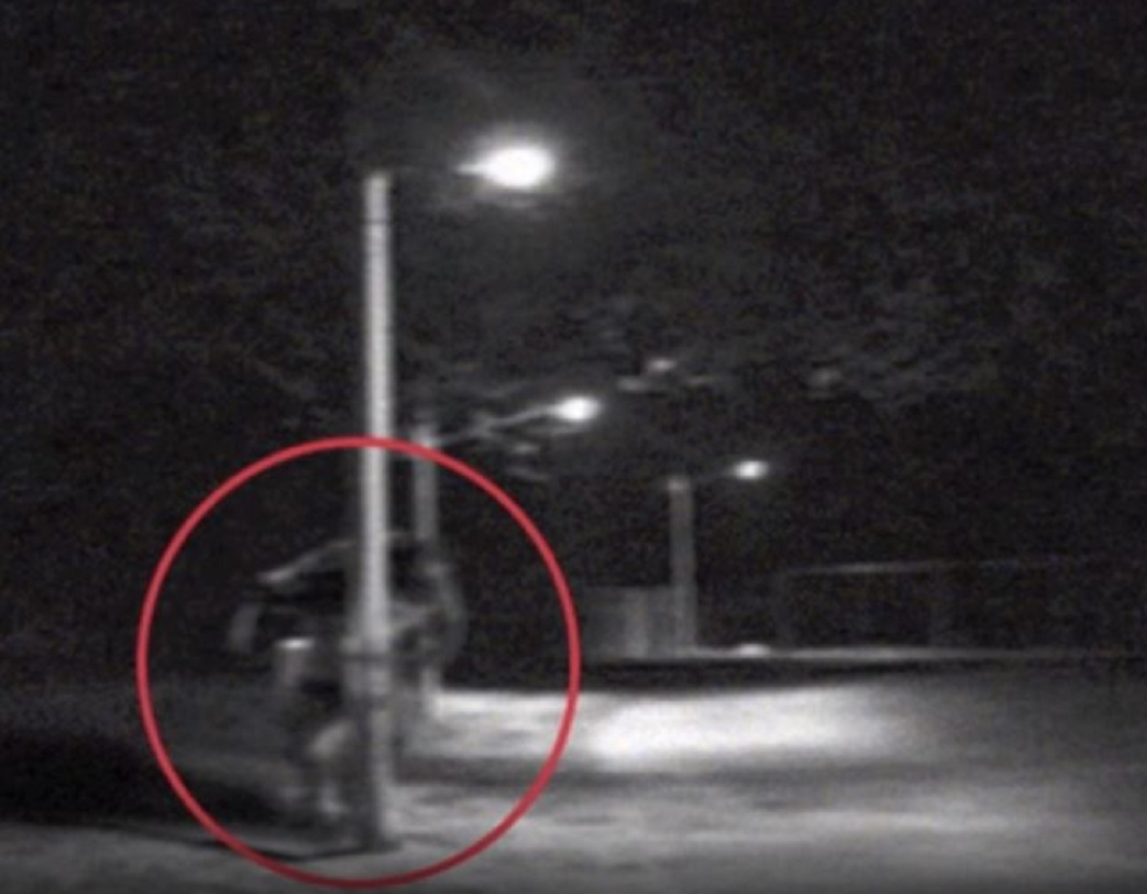 Мичиганский оборотень, сфотографированный Кеннетом Брауном в 2003 году