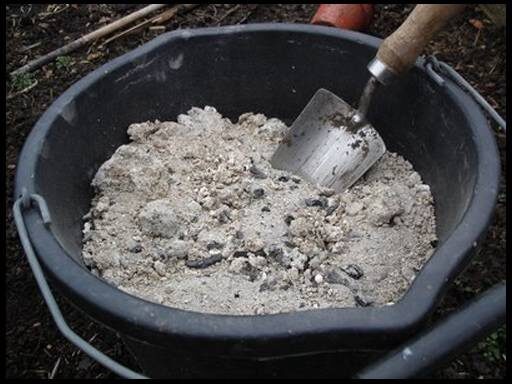 Зола для сладких томатов. Иллюстрация к статье используется по стандартной лицензии