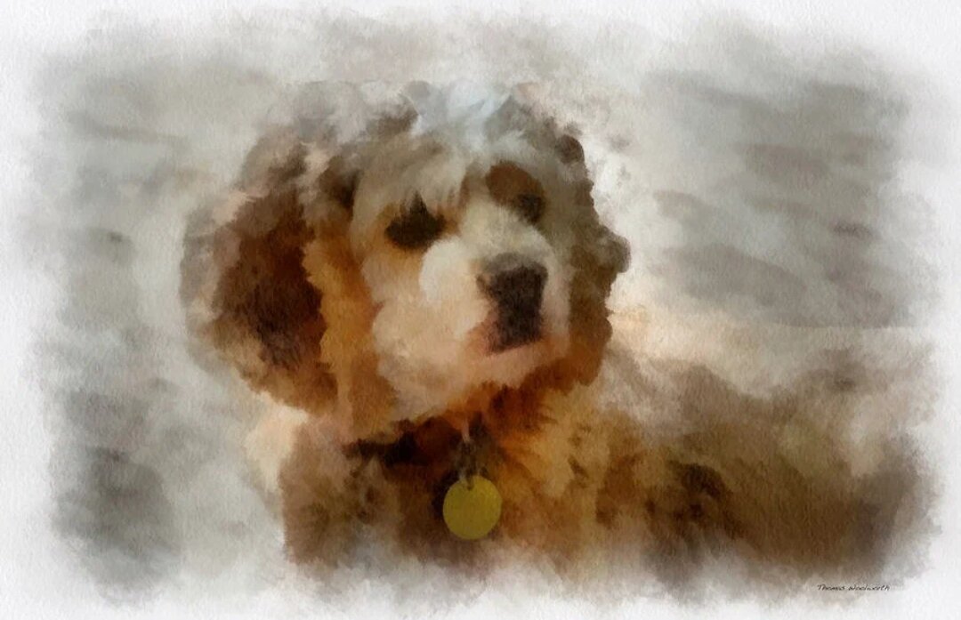 Как же похожа эта картинка на мою Сану!!!! 