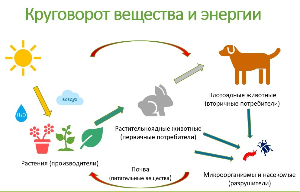 Энергетические белки