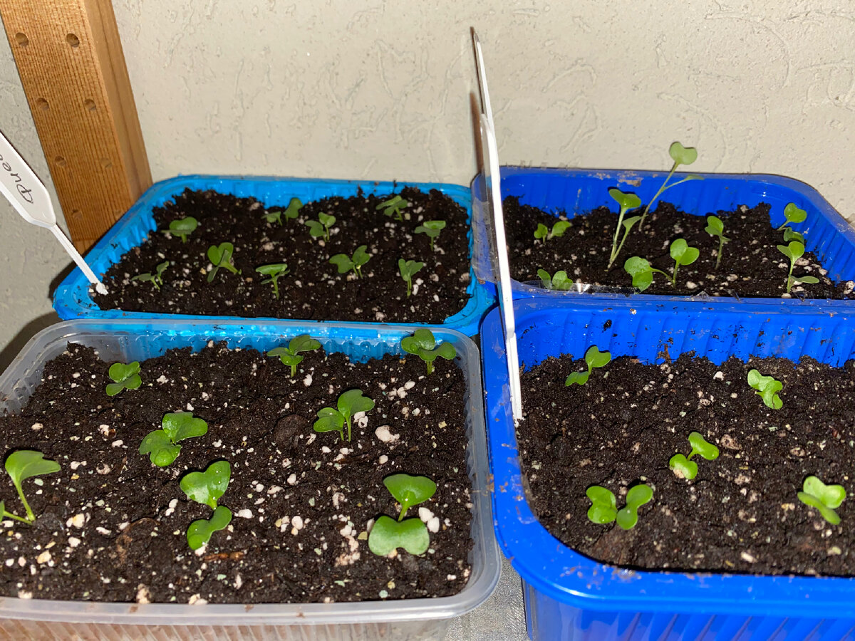 Личное фото 