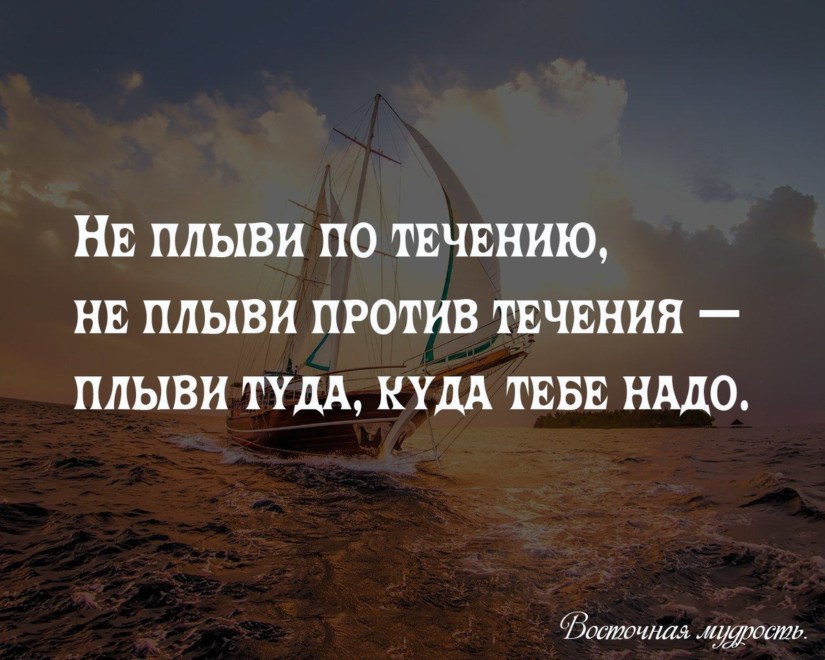 Течению проплыла против течения. Цитаты. Уроки жизни цитаты. Плыть по течению цитаты. Высказывания про уроки жизни.