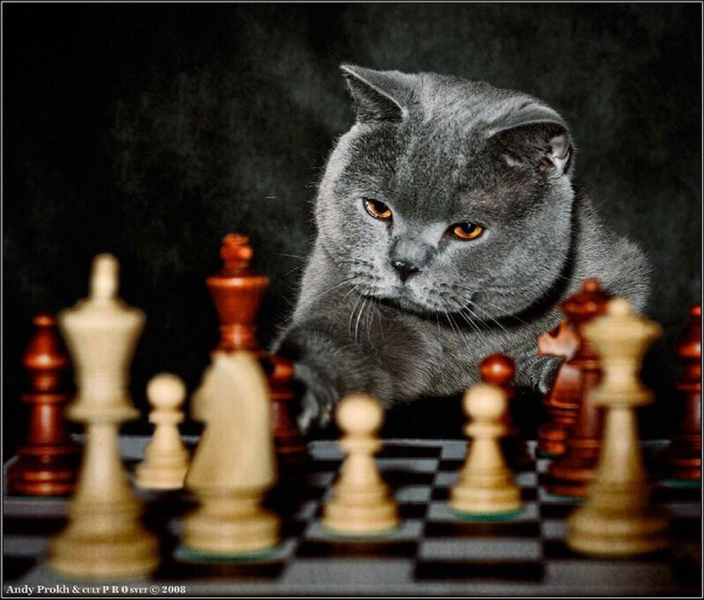 Настольная игра: red 7, арт. Советский игральный кубик. Игра 7 на 9 умножение. Игра семь правила. 7 на 9 настольная игра правила.