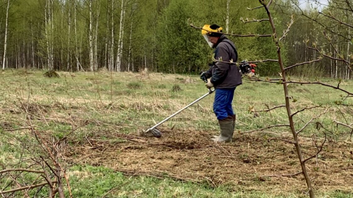 В этом году хоть и полно работы