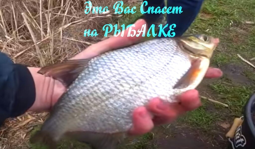 Супер аттрактанты для рыбалки своими руками рецепты с фото