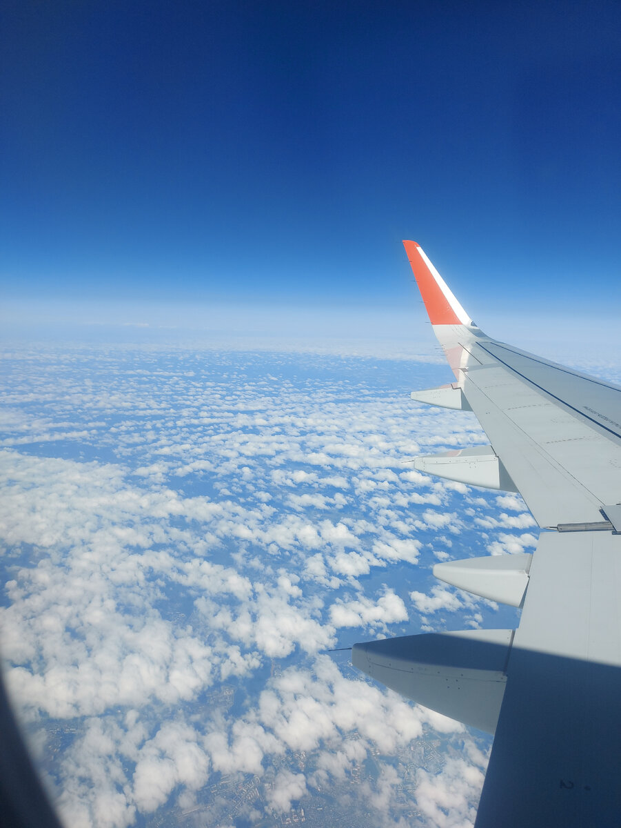 Вид из самолета ✈ 