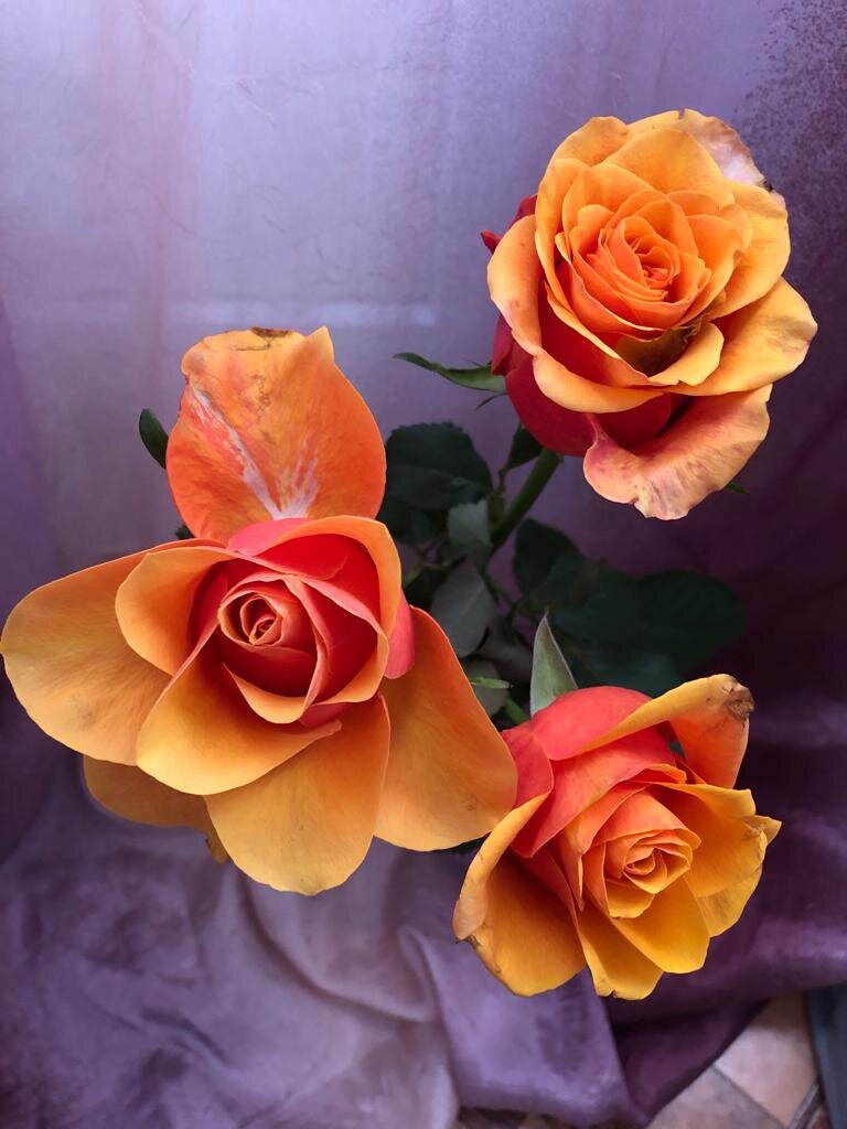 Фото моих друзей