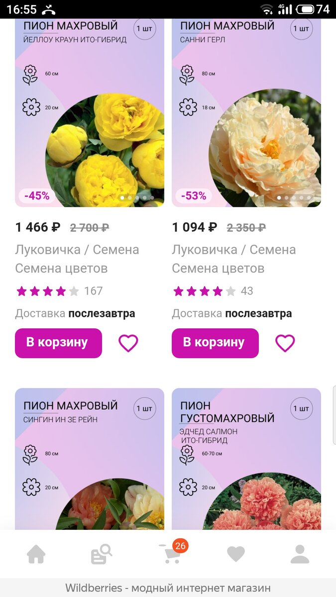 Осторожно Wildberries! Мартагоны и пионы с распродажи | Сад Анны Гауэр ...
