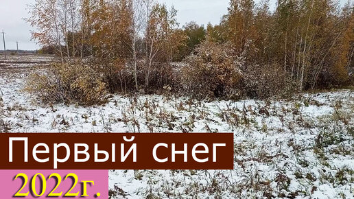 У нас выпал снег. Когда выпал 1 снег в 2022 году. Между нами выпал снег 2022