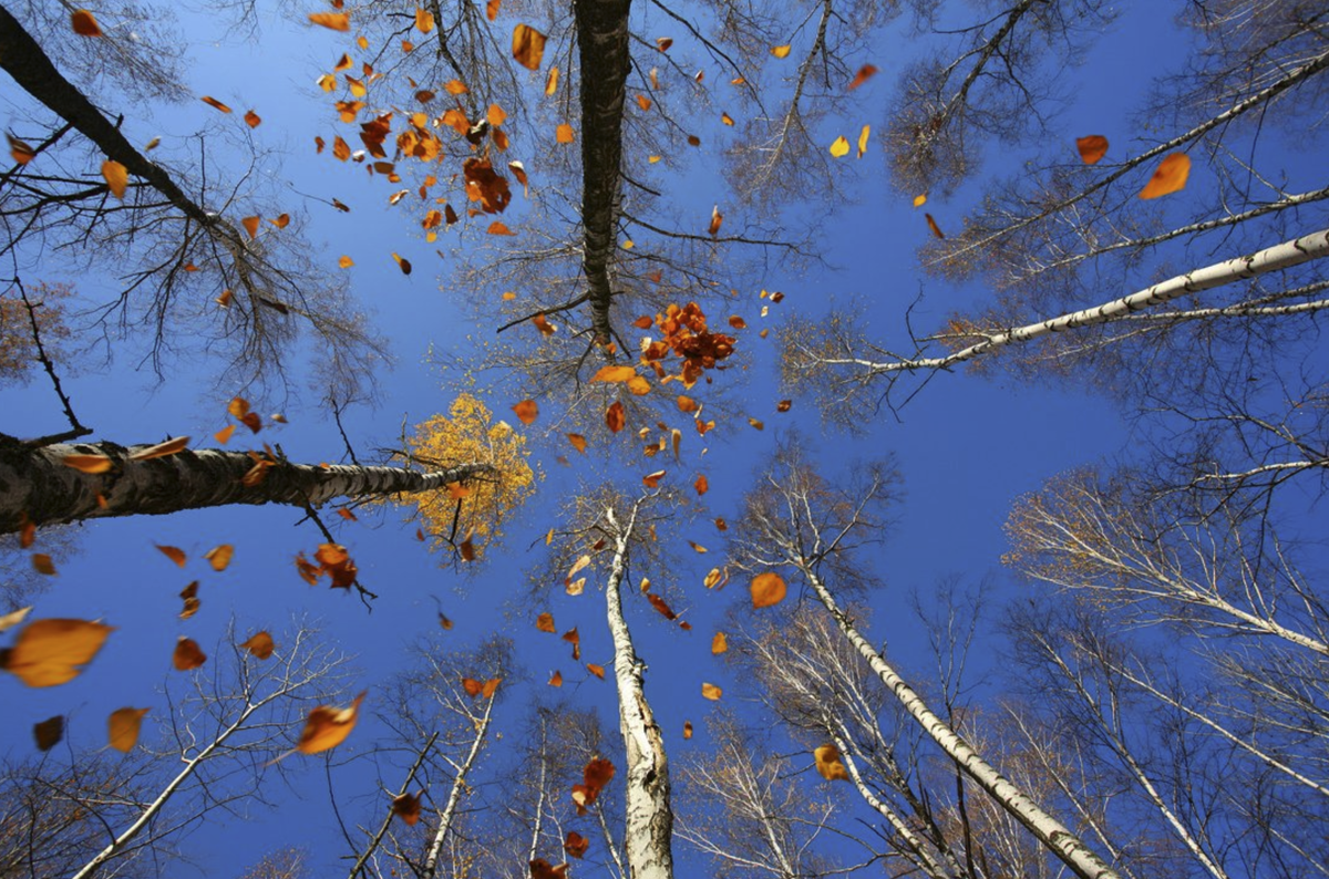 Фотография Вадима Трунова. Яндекс.Картинки
