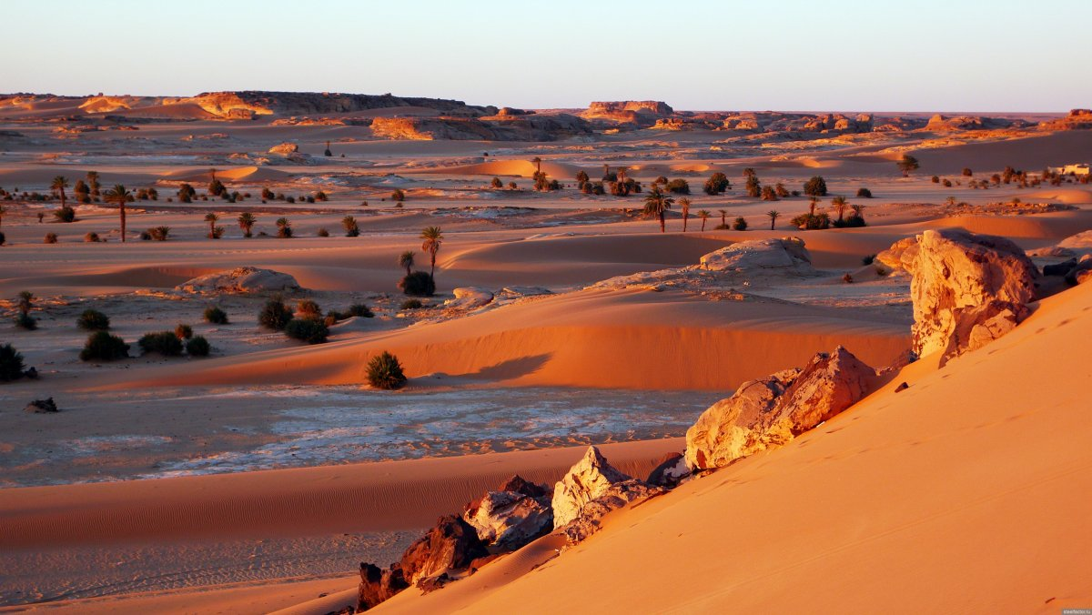 Пустыня Джураб - место, где найден самый древний представитель человеческой родословной