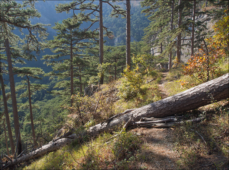 Уч-Кош | По тропинкам наших странствий | Дзен