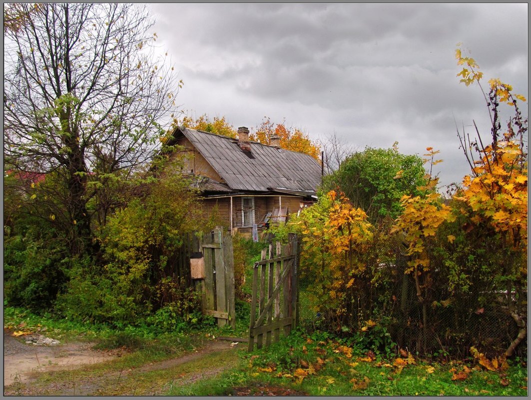 фото из интернета