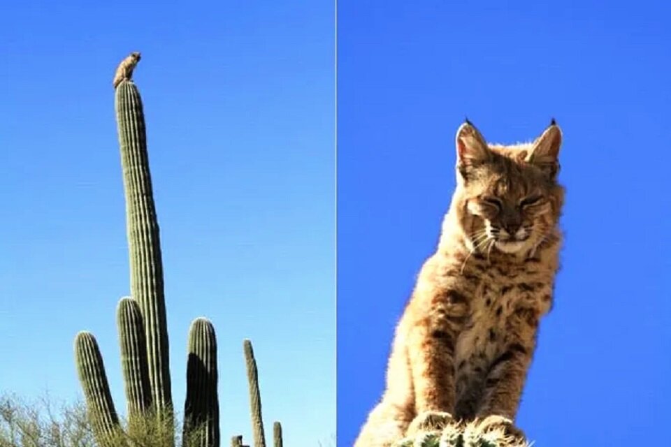 Каждый по-своему понимает фразу «оставьте меня в покое»