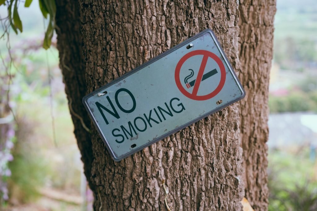    pexels Дарья Ковалёва