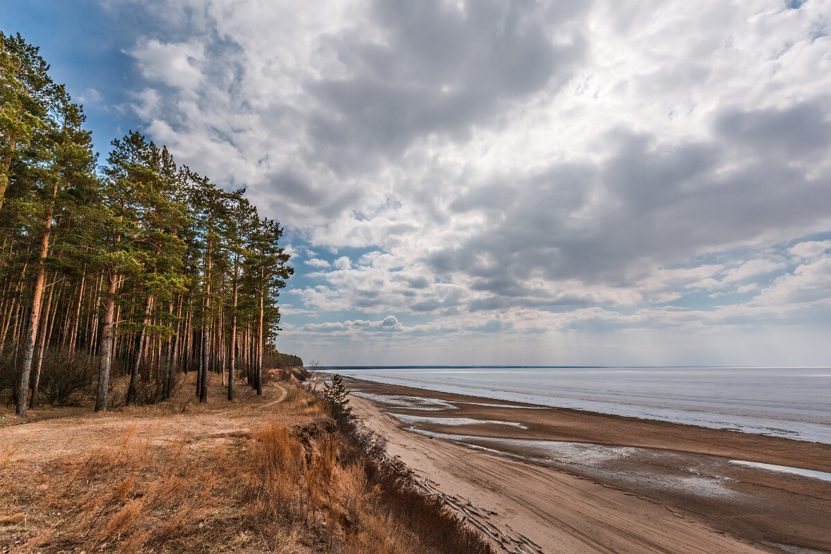 Обское водохранилище фото