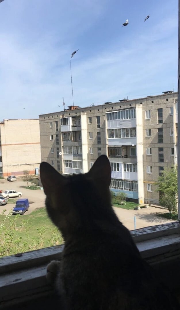 Фото Марина Сычева