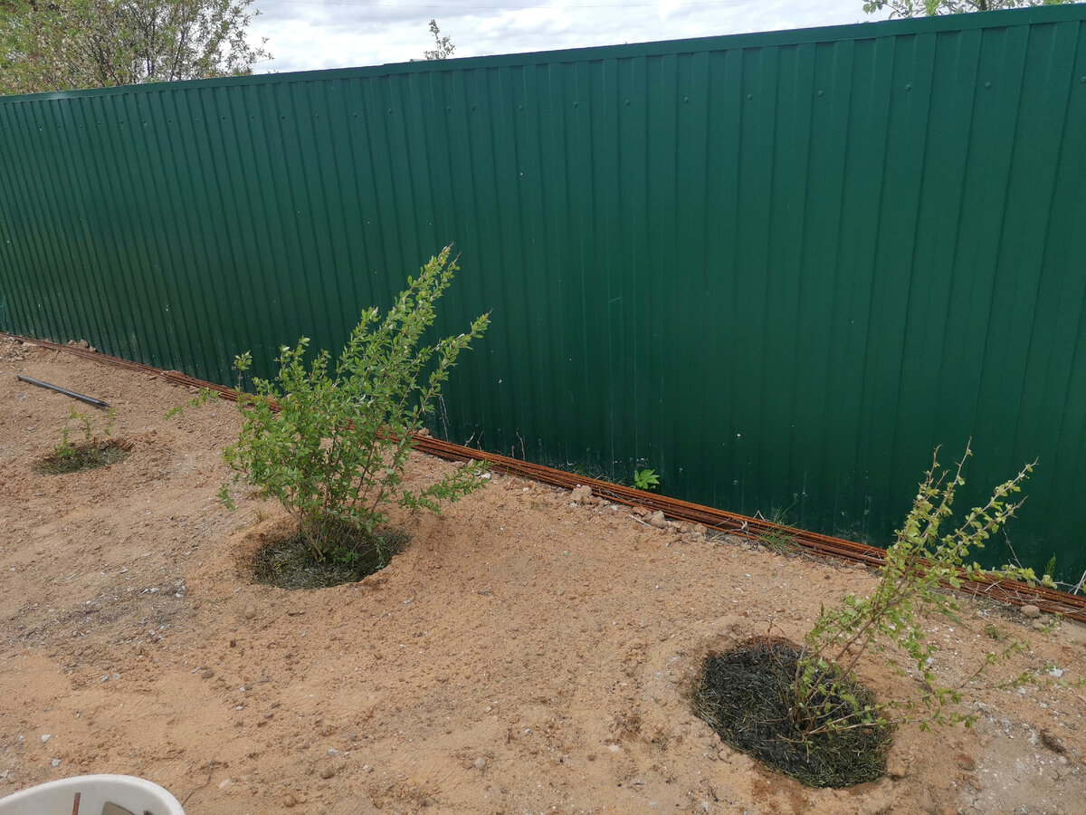 Три брата: старший видный был детина, средний был и так и сяк, младший вовсе был... малыш) 