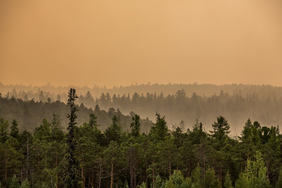    На западе Югры из-за гари проконтролировали уровень вредных веществ в воздухе