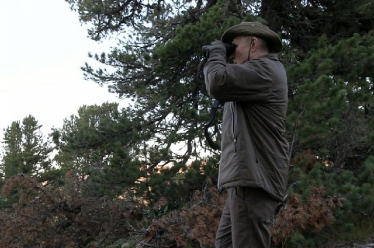    В Кремле рассказали о планах Путина на лето